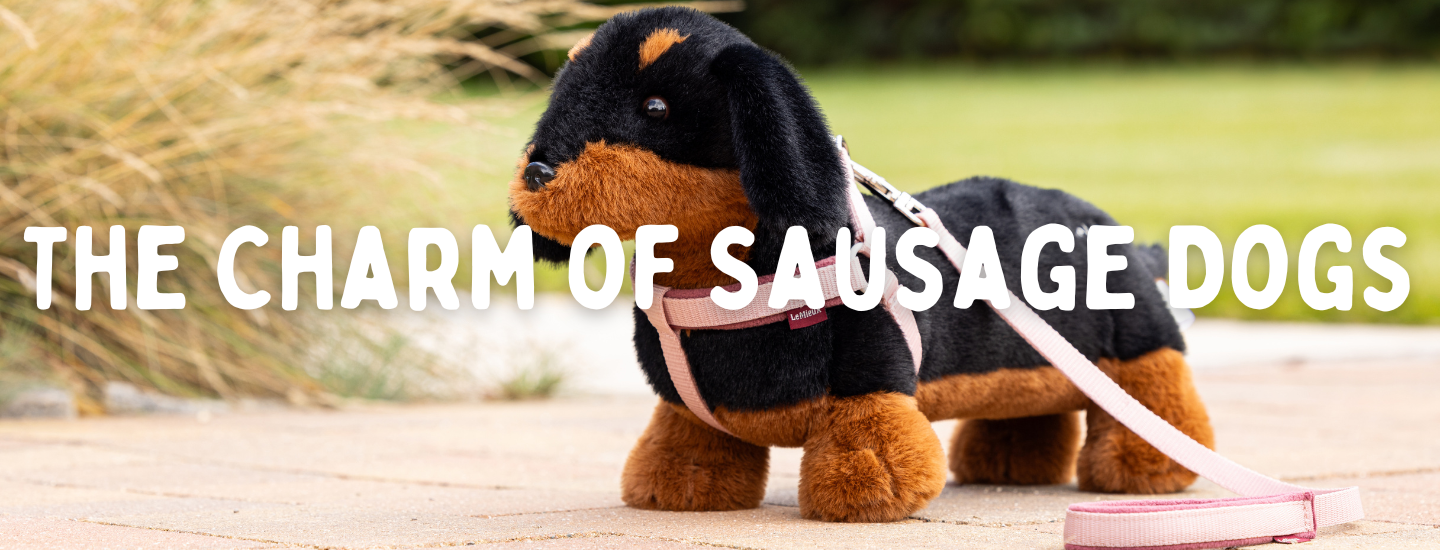 Sausage Dog Gift, Sausage dog toy