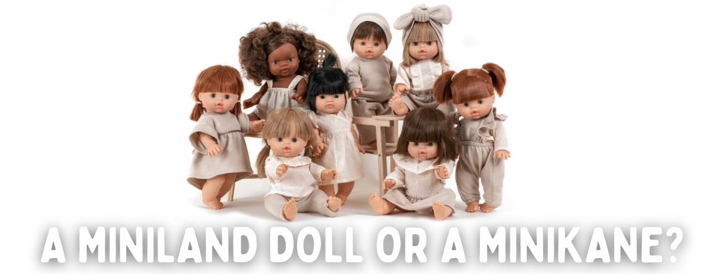miniland dolls or minikane dolls