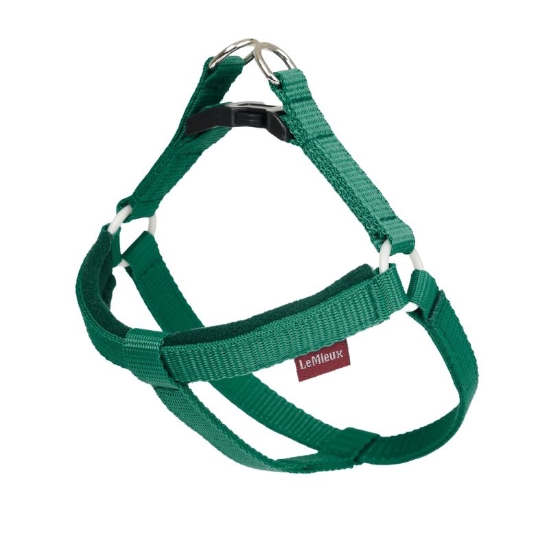 Le Mieux Toy Dog Harness - Evergreen