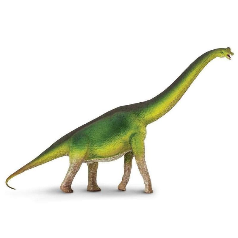 Safari Ltd Brachiosaurus