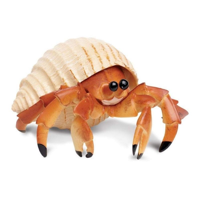 Safari Ltd Hermit Crab