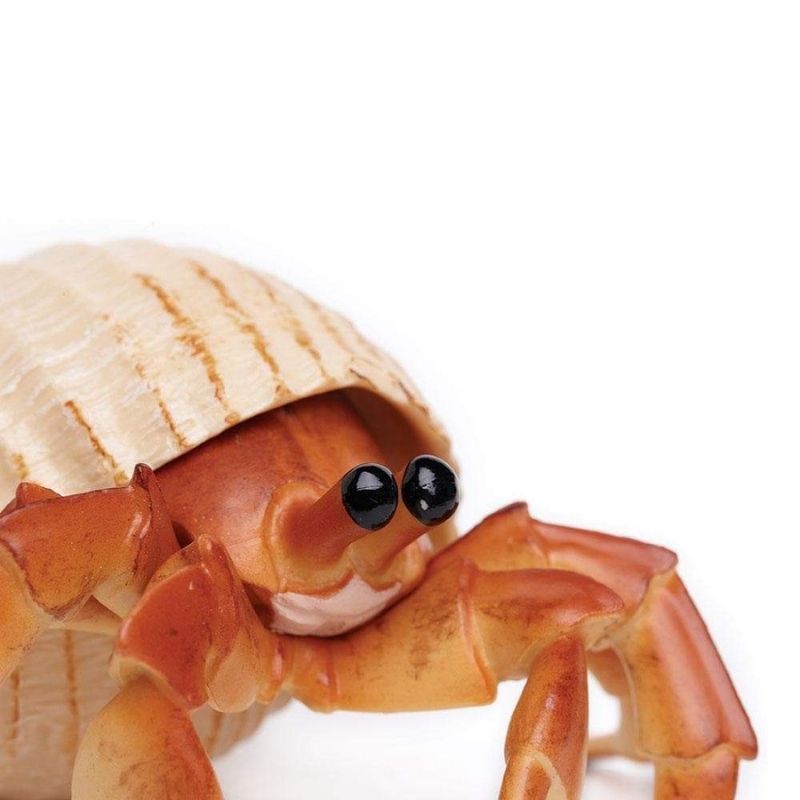 Safari Ltd Hermit Crab