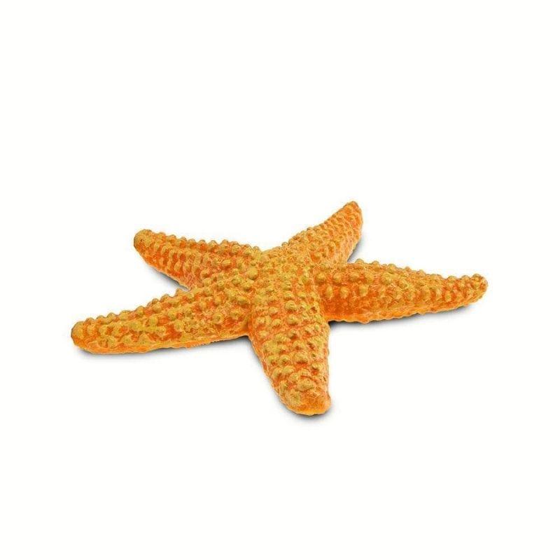 Safari Ltd Starfish