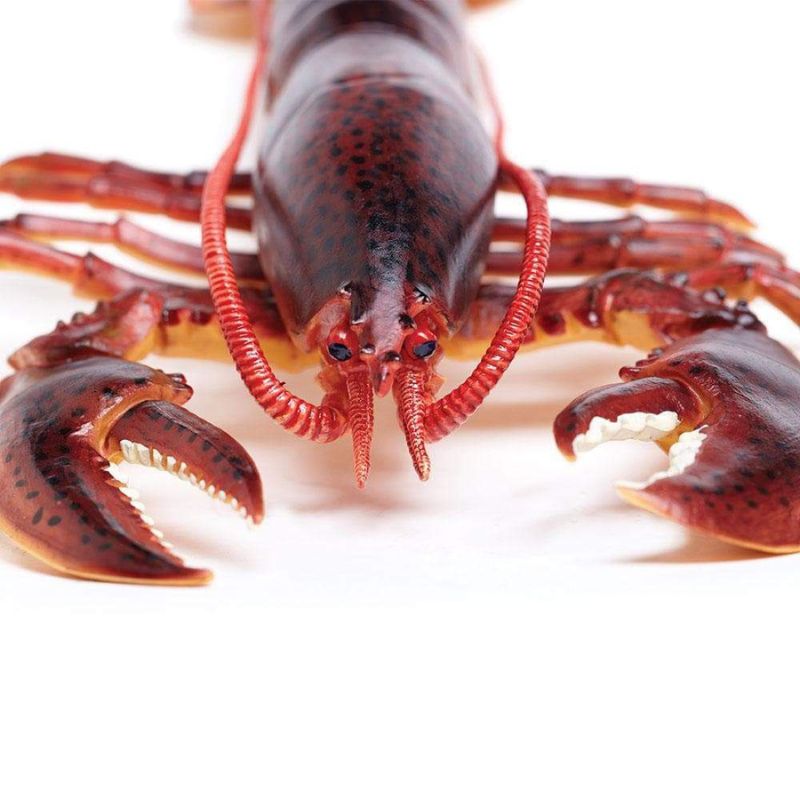 Safari Ltd Lobster